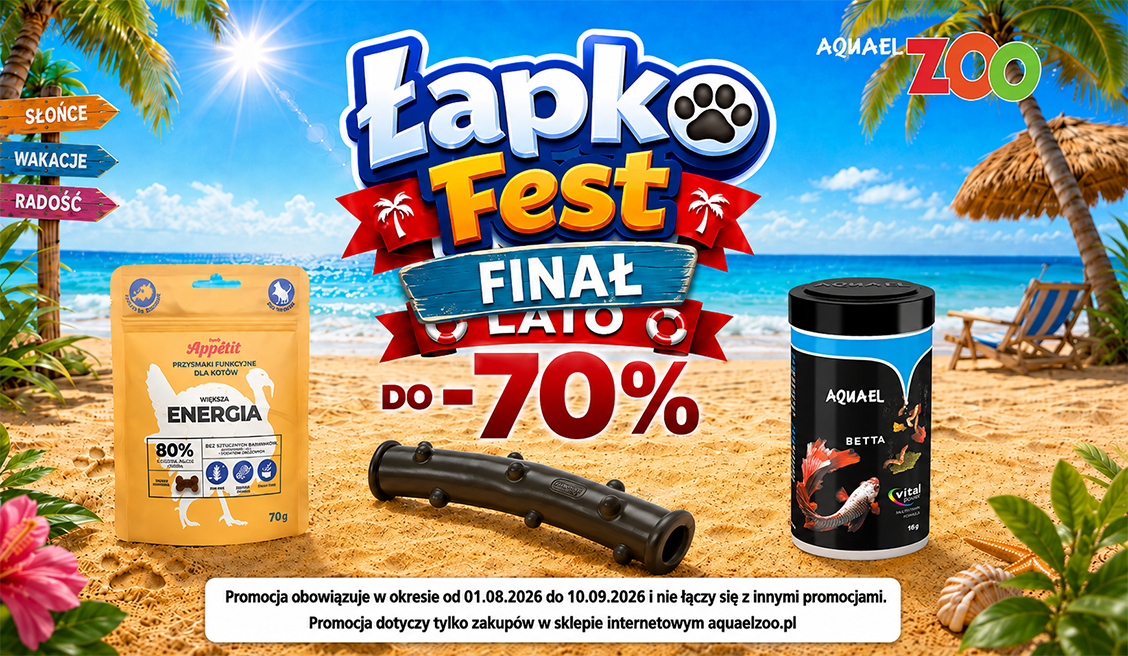Łapkofest final