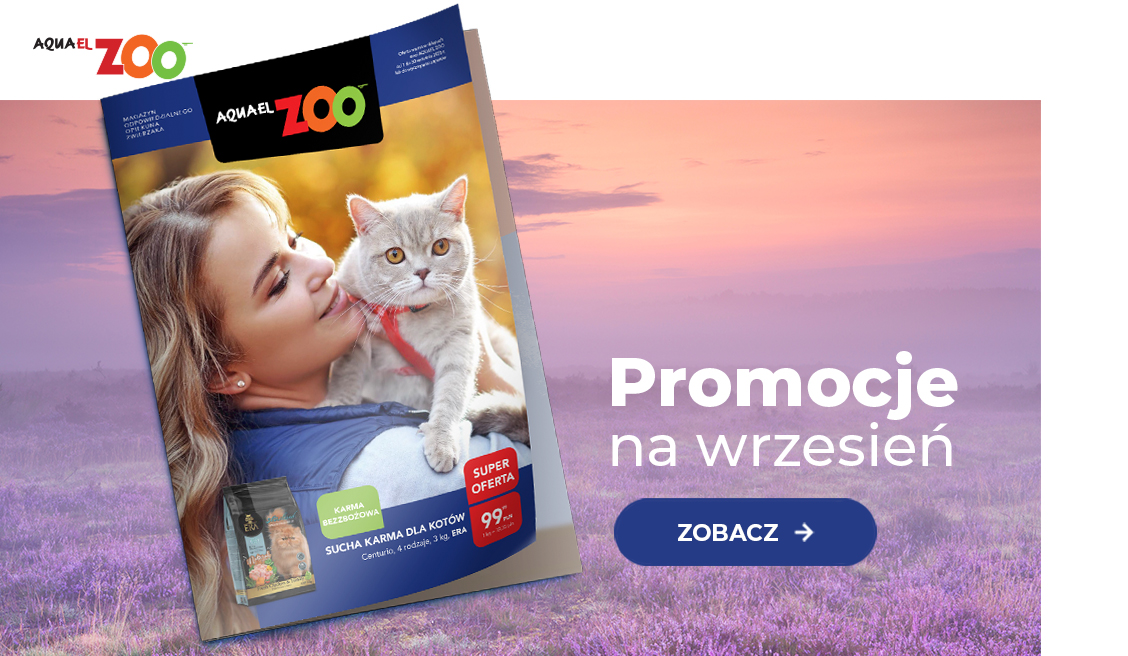 Gazetka 09.2025