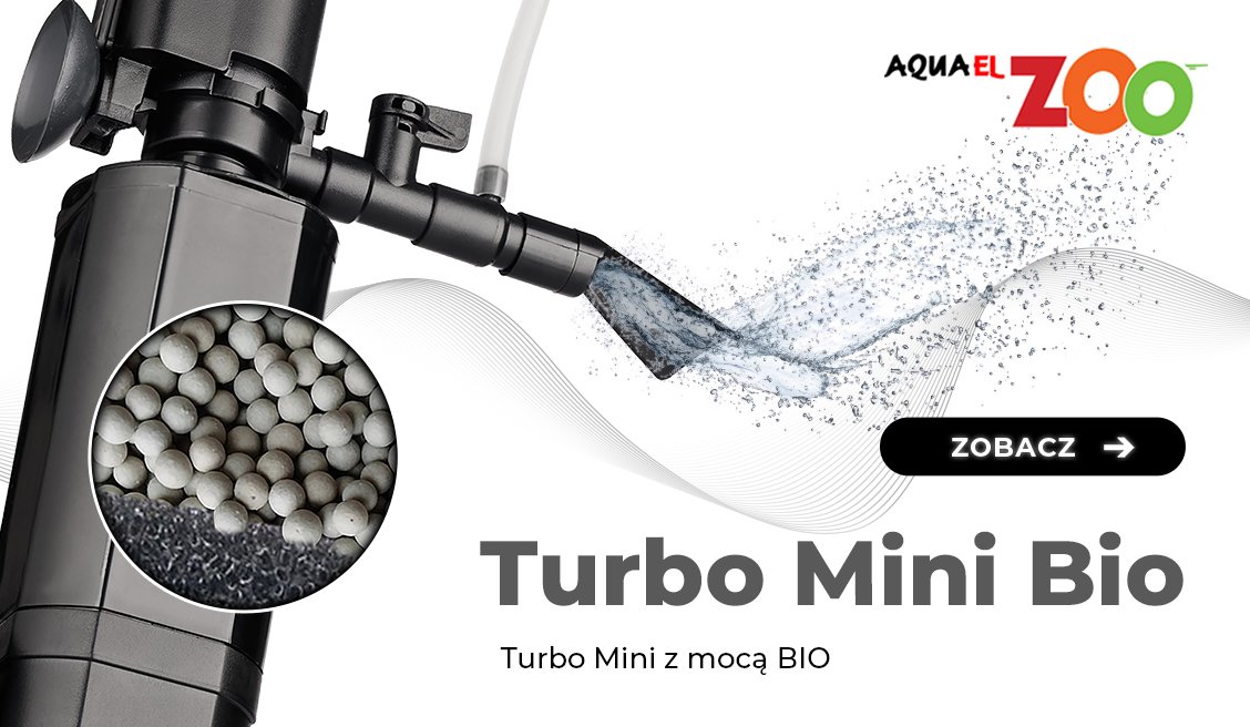 Turbo bio