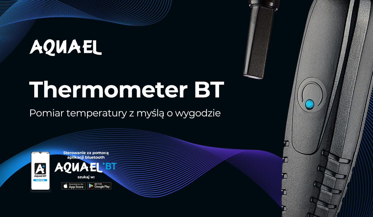 Termometr BT