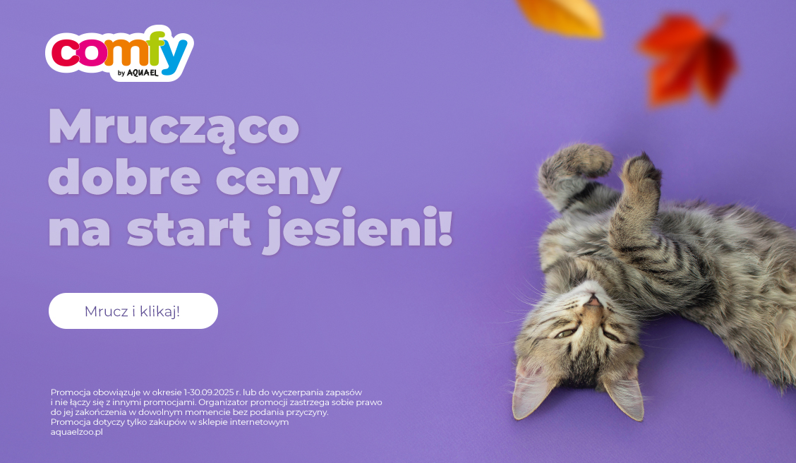 Promocja Comfy Kot