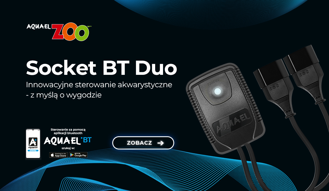 Socket BT Duo
