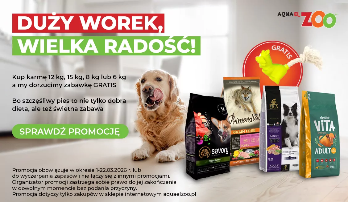Zabawka gratis