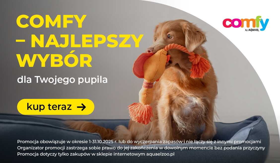 Promocja Comfy 10.2025