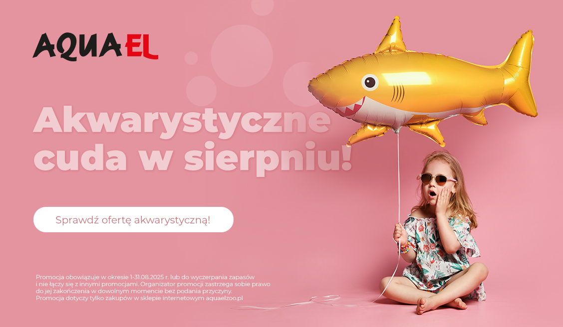 Promocje Aquael sierpień